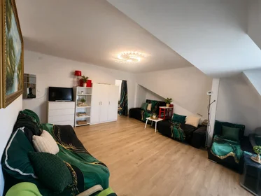 Gesamte Unterkunft in der Oroszlán utca 97, bild 25 von 38