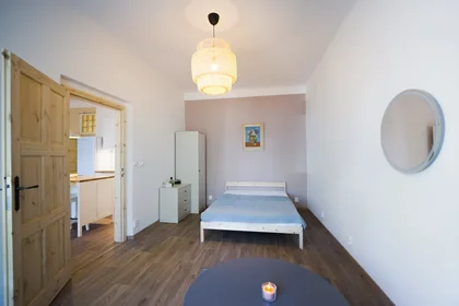 Entire apartment at Dominikánská 24/16, image 3 of 12