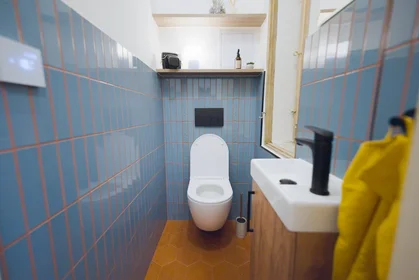 Entire apartment at Dominikánská 24/16, image 10 of 12