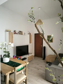 Gesamte Unterkunft in der Rua Conde Carvalhal 305, bild 1 von 10