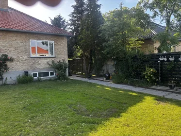 Appartamento intero in Hirsevej 27, immagine 14 di 21