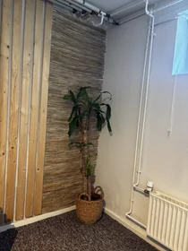 Appartamento intero in Hirsevej 27, immagine 10 di 21