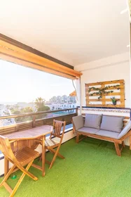 Entire apartment at Paseo del Toyo 60, image 11 of 15