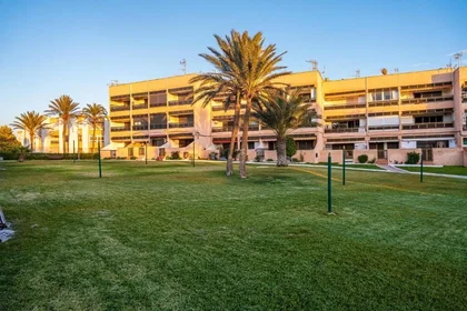 Entire apartment at Paseo del Toyo 60, image 12 of 15
