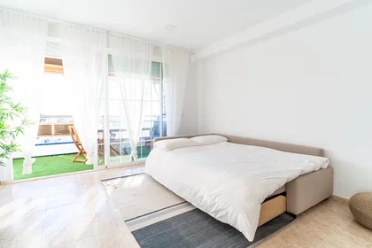 Entire apartment at Paseo del Toyo 60, image 8 of 15