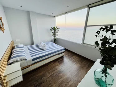 Entire apartment at Urbanización Espejo del Mar, image 13 of 13