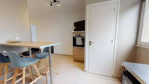 Privatzimmer in der Avenue Général Frère, 8th Arrondissement, bild 6 von 10