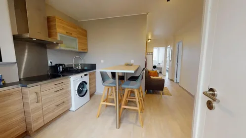 Privatzimmer in der Avenue Général Frère, 8th Arrondissement, bild 7 von 10