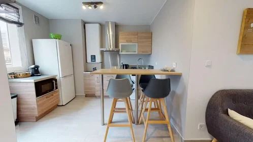 Privatzimmer in der Avenue Général Frère, 8th Arrondissement, bild 8 von 10