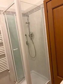Private room at Viale Bruno Pelizzi, Don Bosco, image 5 of 10