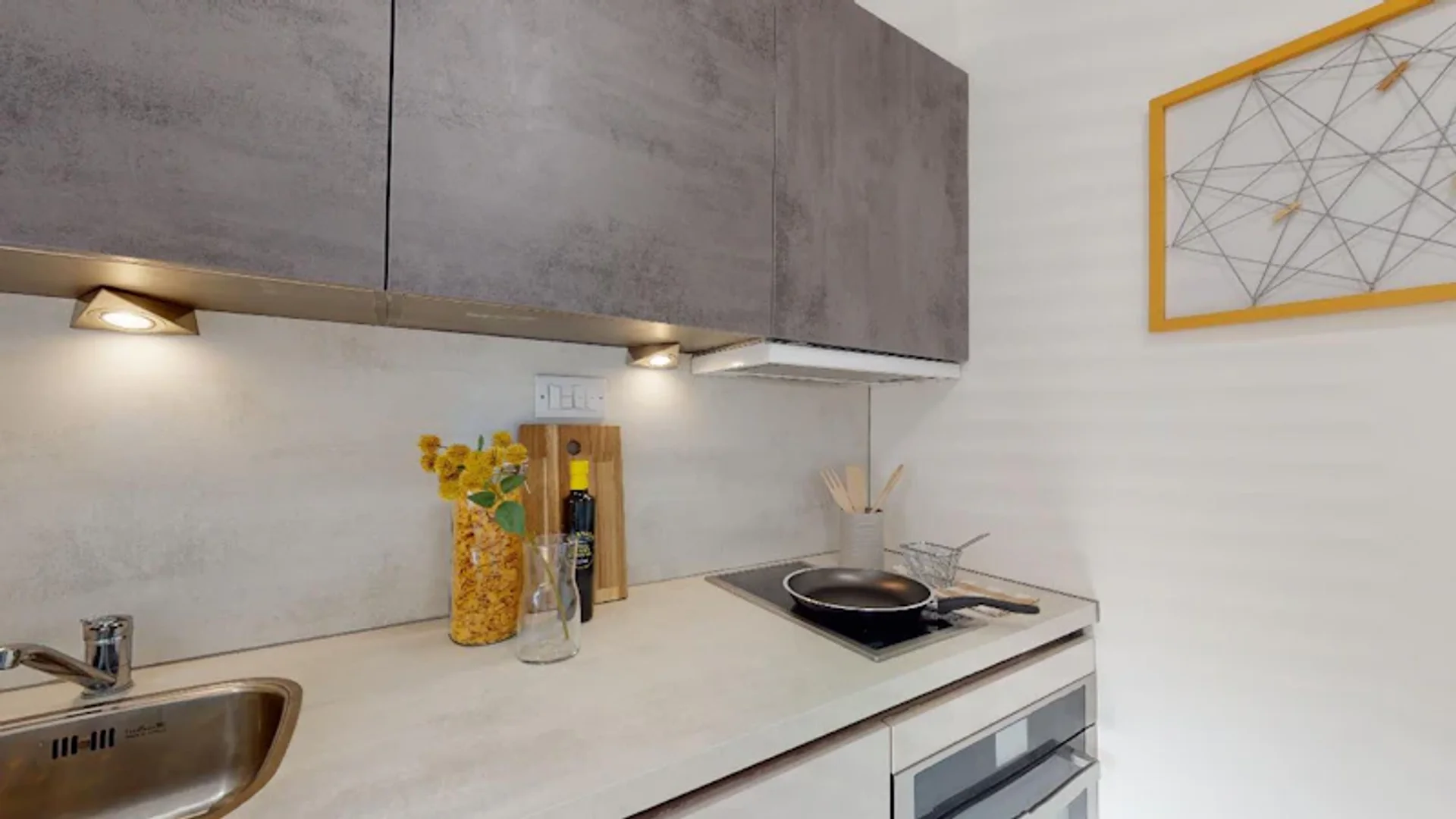 Minimalistisches Studentenstudio in  mit effizientem Grundriss