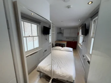 Studio im Wohnheim in der 191 Gloucester Place Baker Street, London NW1 6BU, bild 16 von 29
