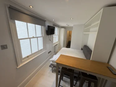 Studio im Wohnheim in der 191 Gloucester Place Baker Street, London NW1 6BU, bild 17 von 29