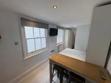 Studio im Wohnheim in der 191 Gloucester Place Baker Street, London NW1 6BU, bild 18 von 29