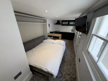 Studio im Wohnheim in der Studio Flat B1, 193 Gloucester Place Baker Street, London NW1 6BU, bild 6 von 13