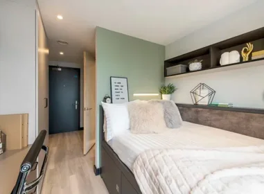 Stanza privata in Herbert Street, immagine 1 di 10