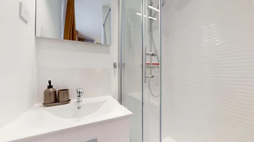 Chambre privée à 39 Rue Eugène Fournière, 69100 Villeurbanne, France, image 6 de 13