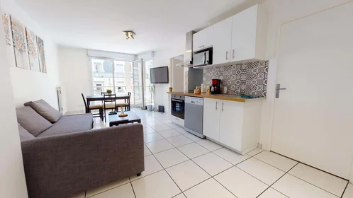 Chambre privée à 107 Cr Émile-Zola, 69100 Villeurbanne, France, image 16 de 17