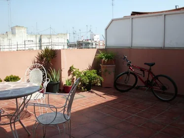 Entire apartment at Carrer del Reverend José Maria Pinazo, image 31 of 31