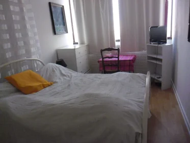 Chambre privée à Cours Émile-Zola, image 1 de 7
