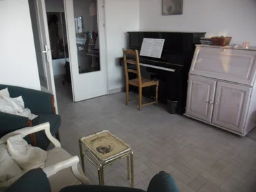 Chambre privée à Cours Émile-Zola, image 3 de 7