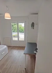 Stanza privata in Avenue du Général Patton, immagine 3 di 4