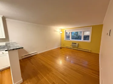 Logement entier en résidence à 1691, Cambridge St., Unit 33, Harvard Square, Cambridge, MA, 02138, image 4 de 25