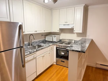 Logement entier en résidence à 1691, Cambridge St., Unit 33, Harvard Square, Cambridge, MA, 02138, image 5 de 25