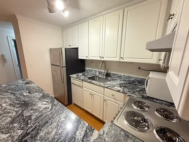 Logement entier en résidence à 1691, Cambridge St., Unit 33, Harvard Square, Cambridge, MA, 02138, image 6 de 25
