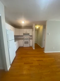 Apartamento inteiro em residência em 44, Maple St., Unit 203, Hyde Park, Boston, MA, 02136, imagem 25 de 29