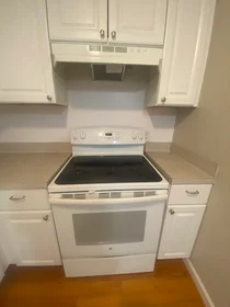 Apartamento inteiro em residência em 44, Maple St., Unit 203, Hyde Park, Boston, MA, 02136, imagem 7 de 29