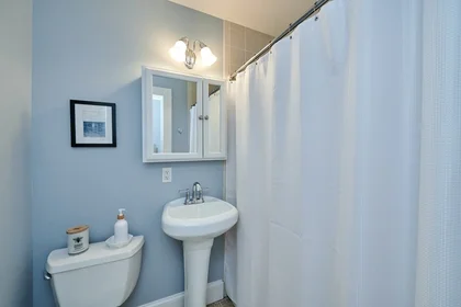 Apartamento inteiro em residência em 183, Marlborough St., Unit B, Back Bay, Boston, MA, 02116, imagem 6 de 18
