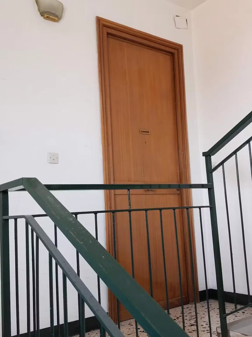 Chambre confortable pour étudiants disponible dans