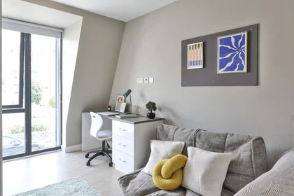 Chambre privée à James Street West, image 8 de 49