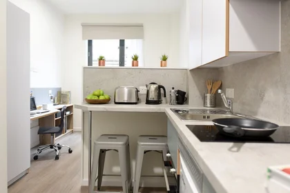 Private room in residence at St Mungo's200 St James Rd, Glasgow G4 0NT, United Kingdom, image 37 of 49