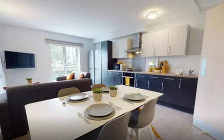 Quarto privado em residência em Seaford Rd, Salford M6 6FN, United Kingdom , imagem 5 de 16