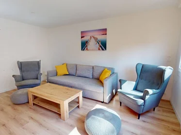 Stanza privata in Pau, 64000, immagine 17 di 20
