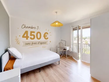 Stanza privata in Pau, 64000, immagine 4 di 20