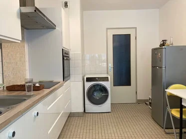 Família em Mulhouse, 68200, imagem 7 de 7