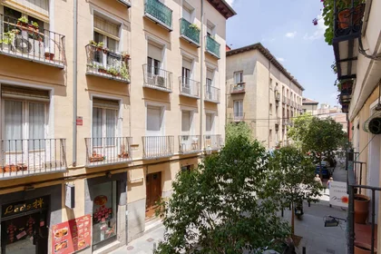 Habitación privada en C. de la Amnistía, 5, Centro, 28013 Madrid, Spain, imagen 32 de 45
