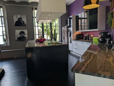 Całe miejsce Rue Van Schoor 61A, 1030 Schaerbeek, Belgique, obraz 12 28