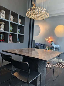 Całe miejsce Rue Van Schoor 61A, 1030 Schaerbeek, Belgique, obraz 13 28