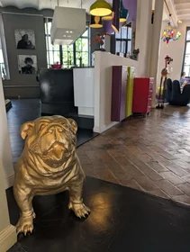Całe miejsce Rue Van Schoor 61A, 1030 Schaerbeek, Belgique, obraz 14 28