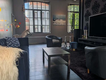 Całe miejsce Rue Van Schoor 61A, 1030 Schaerbeek, Belgique, obraz 15 28