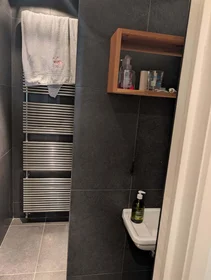 Całe miejsce Rue Van Schoor 61A, 1030 Schaerbeek, Belgique, obraz 17 28