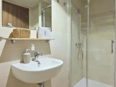 Habitación privada en Portuetxe K., 41, 20018 Donostia, Gipuzkoa, Spain, imagen 9 de 22