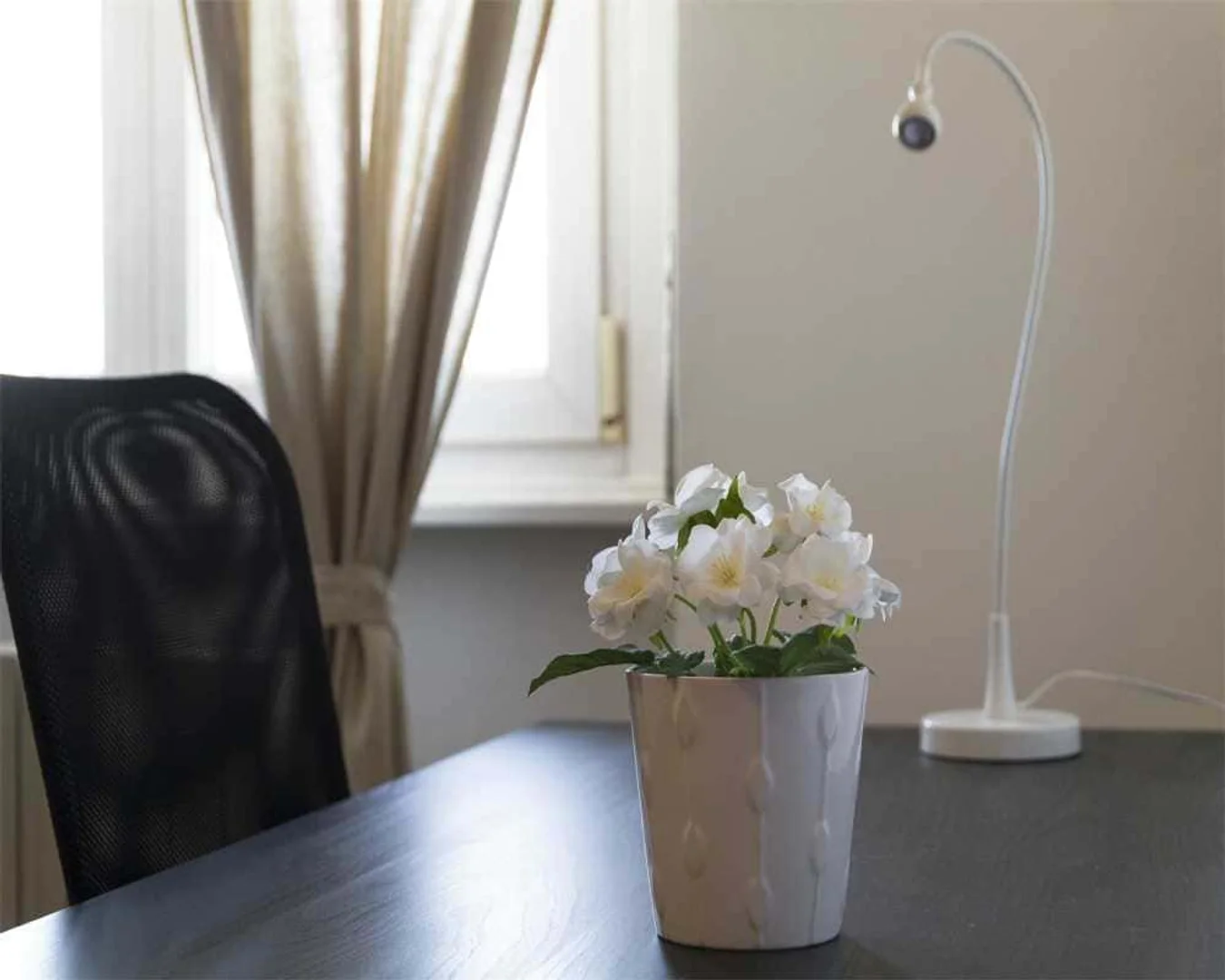 Budget-friendly student room close to campus in 