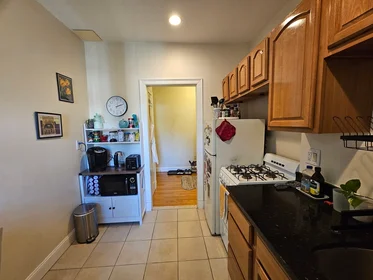 Apartamento inteiro em residência em 1999, Commonwealth Ave., Unit 11, Brighton, Boston, MA, 02135, imagem 1 de 15