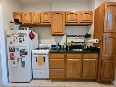 Apartamento inteiro em residência em 1999, Commonwealth Ave., Unit 11, Brighton, Boston, MA, 02135, imagem 9 de 15