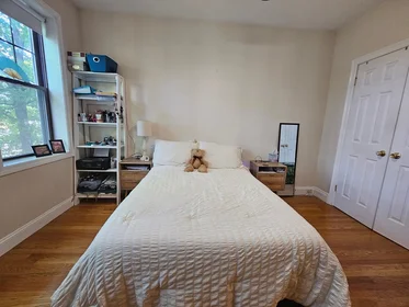 Apartamento inteiro em residência em 1999, Commonwealth Ave., Unit 11, Brighton, Boston, MA, 02135, imagem 10 de 15